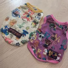 Item thumbnail for item b4a5924c-7d96-4432-9b69-6fe24ba7d1c4