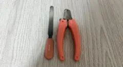 Item thumbnail for item 5c2e55a0-f50d-41b5-bf43-2d8646809705