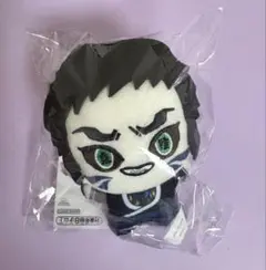 2026年最新】獪岳ぬいぐるみの人気アイテム - メルカリ