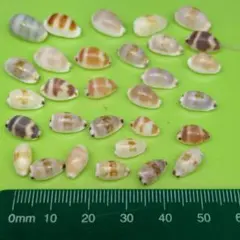 komugi様 リクエスト 2点 まとめ商品