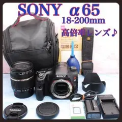 ソニー α65☆レンズ交換不要の高倍率レンズ☆一眼レフカメラ☆ショット数極少