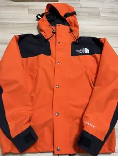 the north face 1990 mountain jacket gtx