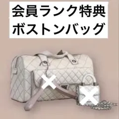 Darich ダーリッチ LUCKY BAG 2026 ボストンバッグ ベージュ - メルカリ