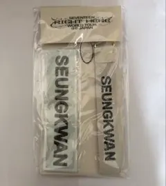 SEVENTEEN ホシ　ワッペン & ストラップセット SEVENTEEN RIGHT HERE WORLD TOUR IN JAPAN OFFICIAL WAPPEN BADGE