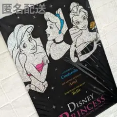 【未開封】ディズニープリンセス　2ポケットクリアホルダー　A4 　文具