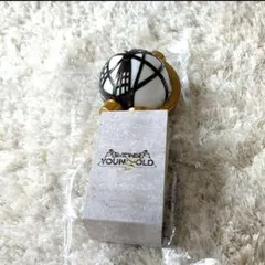 【SixTONES】 YOUNGOLD ペンライト 即日発送️⭕️