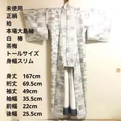 未使用(⭐︎わずかに汚れあり) 白大島　単衣 2025年最新】Yahoo!オークション -白大島 未使用の中古品・新品
