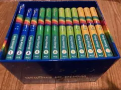 動作保証あり!　ディズニー英語システム　DWE　シングアロング