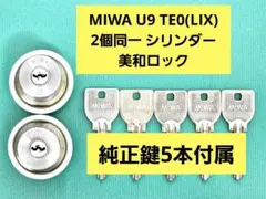 Item thumbnail for item ae915d46-22df-48f6-a714-d981273dee36