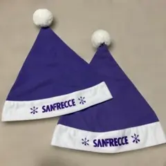 サンフレッチェ 応援グッズ