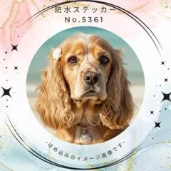 【送料無料❣️】アメコカ防水ステッカー 貝殻 海