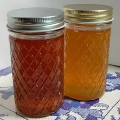 日本蜜蜂　日本ミツバチ　自然界2種類生ハチミツ400g2本　蜂蜜　はちみつ2年物