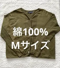 Item thumbnail for item 258ad3a3-7cda-40ab-9b4f-3f5e68ad7fb7