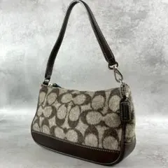 ✨美品✨コーチ　アクセサリーポーチ　ワンショルダー　シグネチャー　ブラウン