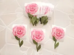 Item thumbnail for item 339f98dc-20b2-41d1-a28f-5ef884225cc5