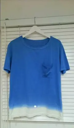ARK STANDARD グラデーションTシャツ
