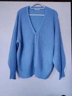 WEGO ライトブルー カーディガン