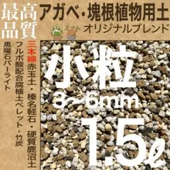 【三本線赤玉土使用】アガベ・塊根植物用土「小粒」 1.5㍑グラキリス 現地株実生のサムネイル