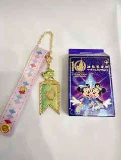 上海ディズニー10周年記念グッズ オルメル フラッグマグネットチャーム