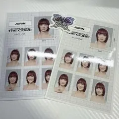XG トレジャートローブ 07 ヒナタ HINATA 証明写真 - メルカリ