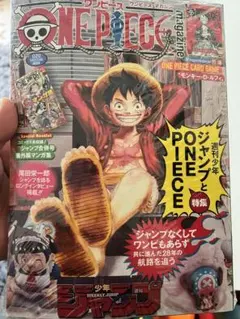 ワンピースマガジンvol.20 新品未使用　特典プロモ付き