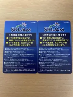 スキージャム勝山 リフト券 大人2枚【全日利用可】