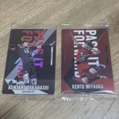 バレーボール男子日本代表 ウエハースカードセット