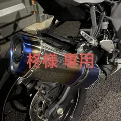 やっくる様専用 BMW G310GS/G310R アールズギア☆GT SPEC - メルカリ