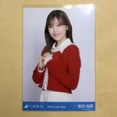 S*I様 柴田柚菜 バッグ クッション lucky bag 2026 乃木坂46 柴田柚菜 2026 Lucky Bag 生写真セット - メルカリ