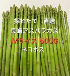長崎産アスパラガスMサイズ 500グラムのサムネイル