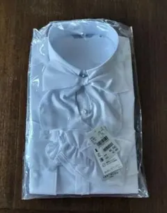 レディース　シャツ　15号