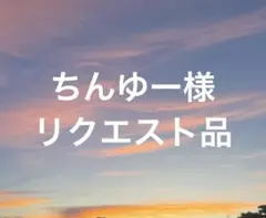 ちんゆー様 リクエスト 2点 まとめ商品
