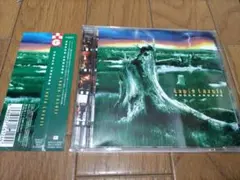 【ジャパメタ名盤】KNOCK AROUND/Lapis Lazuli