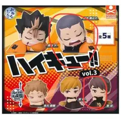 も*。様 ハイキュー　ガチャガチャ　おねむたん　宮治　田中セット