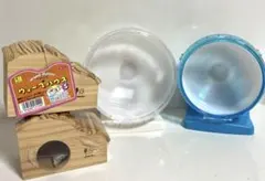 Item thumbnail for item b07865ee-980a-44e9-8d29-4808b463395e