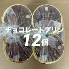 井村屋 MGチョコレートプリン 規格外品