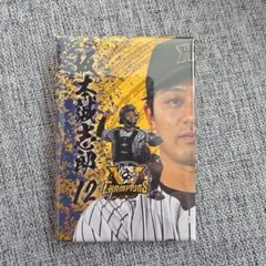 阪神タイガース 缶バッジ 坂本誠志郎 12