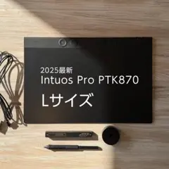 Wacom Intuos Pro large PTK870 - Lサイズ