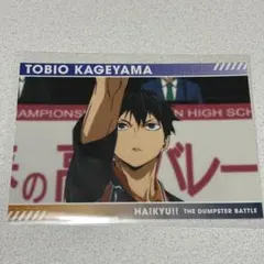 影山飛雄　ハイキュー!! ゴミ捨て場の決戦展　トレーディングスナップカードセット