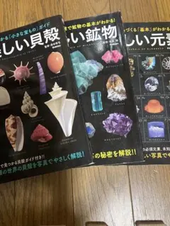 Item thumbnail for item a32d07bc-1c71-4c95-9247-782d560d6411