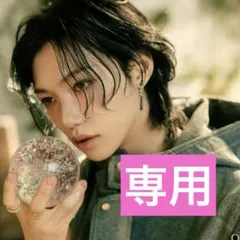 TeriA様専用 hollow FELIX盤2枚