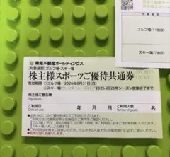 【新品】1枚　東急不動産HD スポーツご優待共通券 スキー場 リフト割引