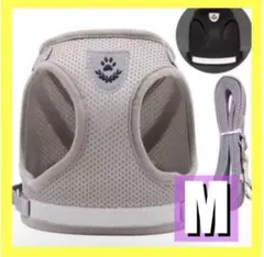 Item thumbnail for item 10065480-44ef-41fc-94b4-98b421be0821