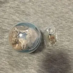 Latte ラテ セットmikko ガチャ もこもこポーチ めじるしアクセサリー