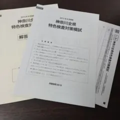 Item thumbnail for item 63dd0280-8c31-48d5-986e-df7b873d4ee7