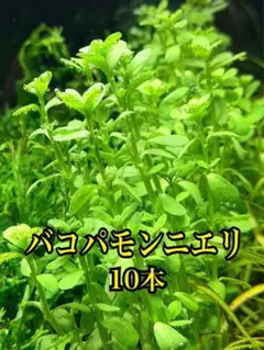 ふりりん。様 リクエスト 3点 まとめ商品