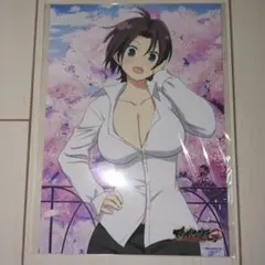 閃乱カグラ NewWave Gバースト 第4弾 銀塩ブロマイド【神咲】