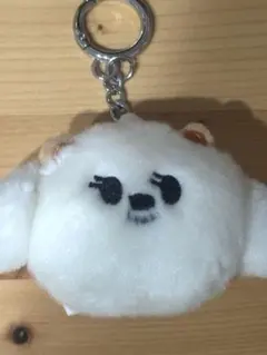 フェイスキーリング バムグッ ボムギュ txt