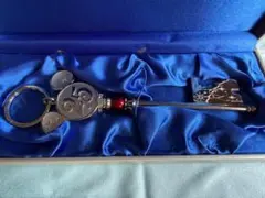 東京ディズニーリゾート 25周年記念 キーホルダー ドリームキーのサムネイル