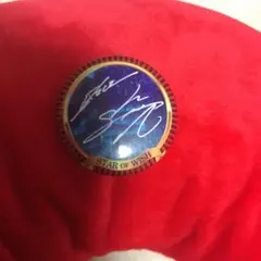 EXILE SHOKICHI サイン STAR OF WISH缶バッジ